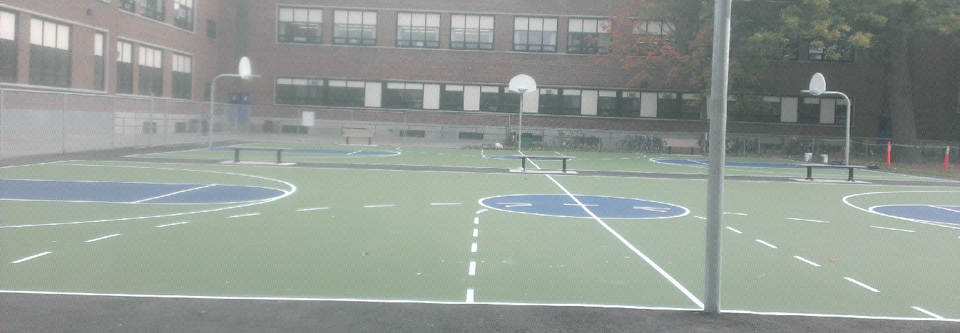 Fisher PS Multiple Basketball