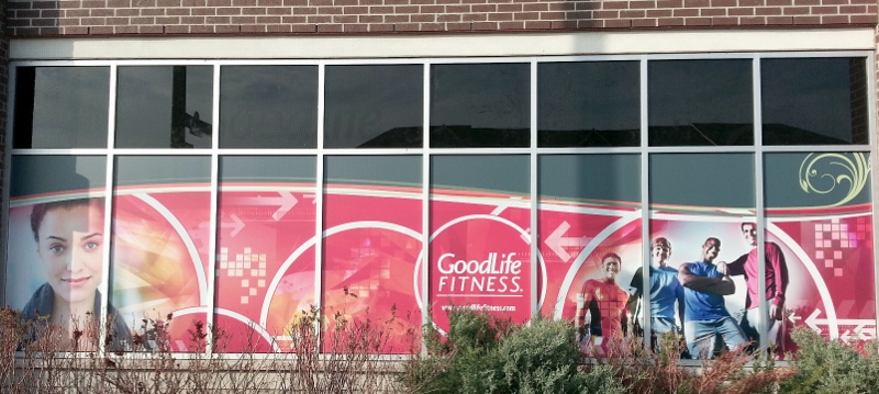 Goodlife Graphics 800x359